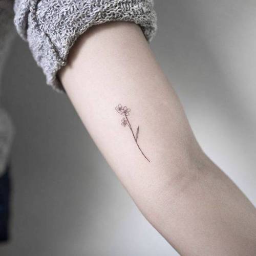 2024 Likes 10 Comments  Lindsay April lindsayapriltattoo on  Instagram Single needle florals for Megan  Single needle tattoo Floral  tattoo Thistle tattoo