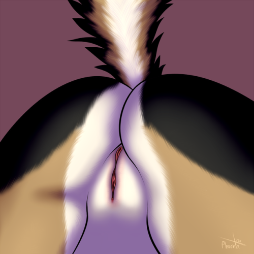 jessfox95 - Canine ass for @furry-yiff-palace~Submit picture...
