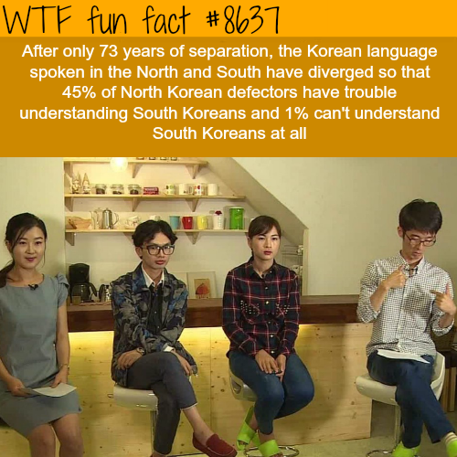 wtf-fun-factss - North and South Korean language differences -...