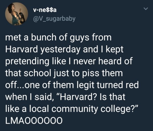 birdthany - inthisquarter - whitepeopletwitter - Harvard? Never...