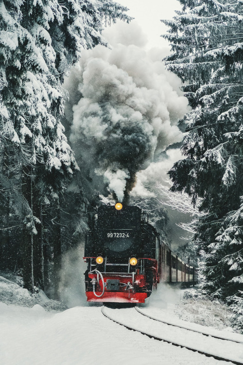 patrickpfaff - The most famous train in germany!