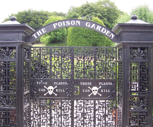 valleywitch:unexplained-events:The Poison GardenEstablished...