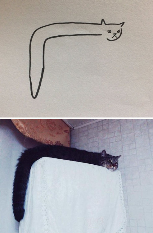 catsbeaversandducks - Super-realistic!By poorly drawn cats