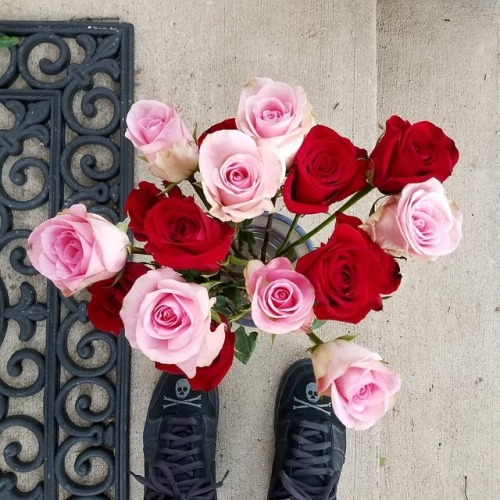 Rose’s for my wife❤❤~~~#steadyinmykicks #nike...
