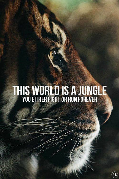 The world is a jungle, you either keep fighting or run forever....