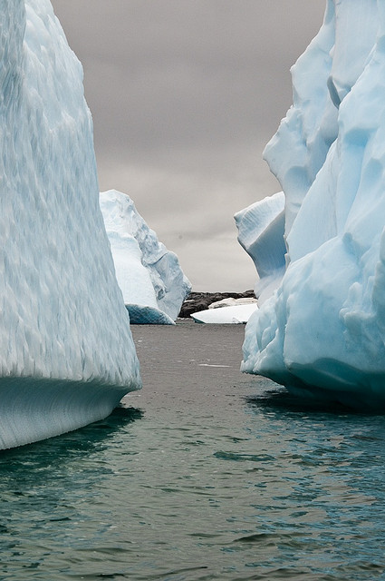 mitlas - EFD Antarctica Icebergs-5 (by efdixon)