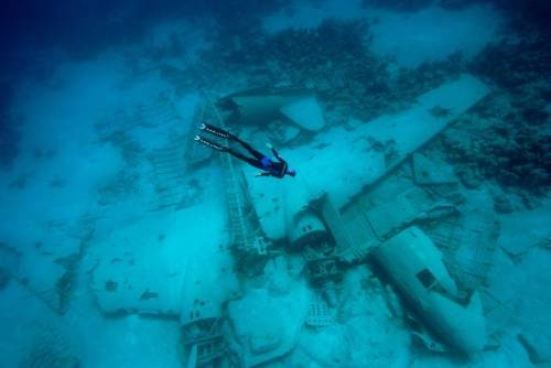 abandonedandurbex - Underwater airplane wreckage [1024 x 768]