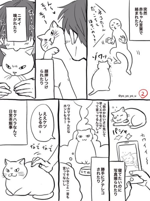 tanu1962 - (猫目線で描かれた漫画「猫の日常」があるあるすぎてツライｗｗｗｗｗ - オレ的ゲーム速報＠刃から)