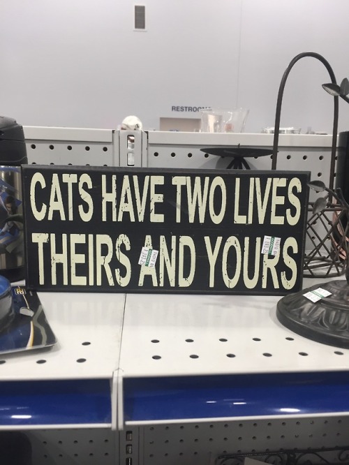 shiftythrifting - thank u goodwill for this fucking ominous...