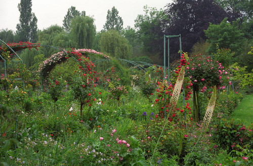 floralls - Monet’s house&garden, Giverny, France by Rick...