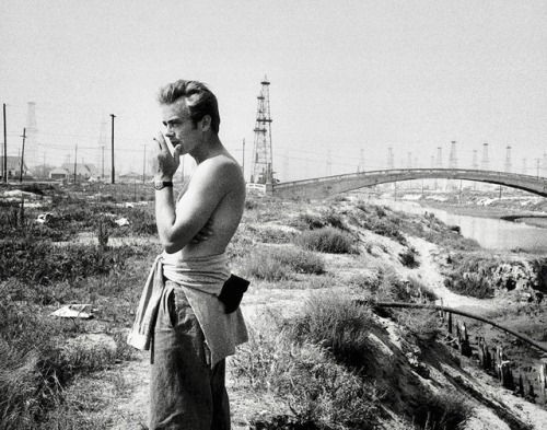 summers-in-hollywood:James Dean, Venice, California,...