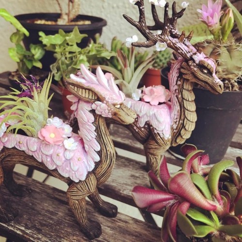 sosuperawesome - Planters by Emily Coleman on Instagram Oh my...