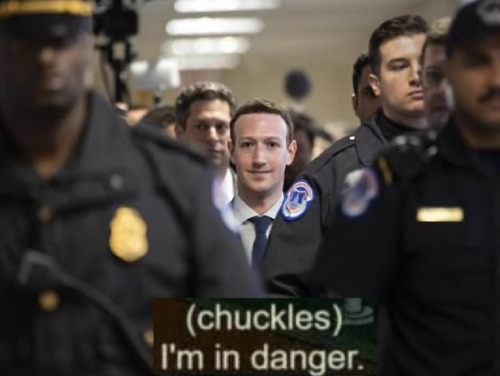 ndphoto - catchymemes - Fresh Zuck Dump Straight Out the Oven