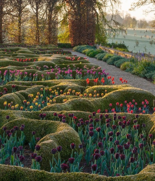 florealegiardini - Broughton Grange Garden | clivenichols