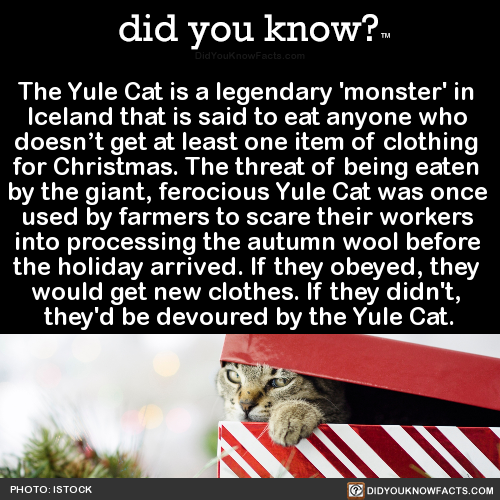 the-yule-cat-is-a-legendary-monster-in-iceland
