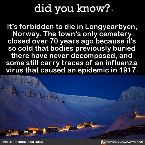 did-you-kno:It’s forbidden to die in Longyearbyen, Norway....