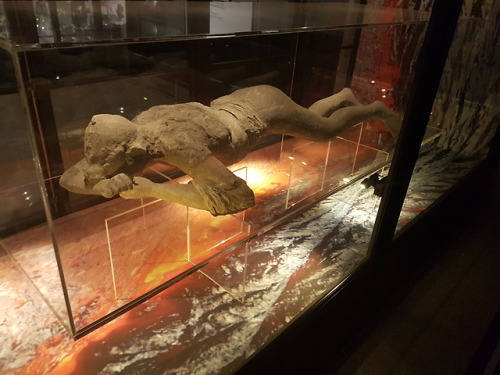 Manchester Museum. April 2018.T-rex skeleton showing odd...