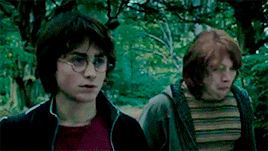 Daniel Radcliffe & Rupert Grint   Tumblr_o85ilvhqec1s4msvwo9_400