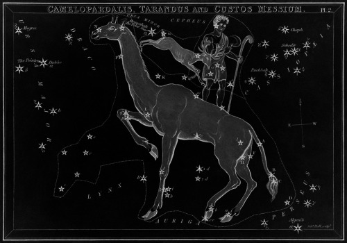 chaosophia218 - Sidney Hall - Constellations, “Urania’s...