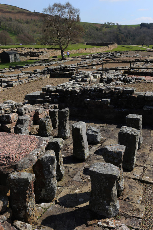 thesilicontribesman - Vindolanda Roman Fort, near Hadrian’s Wall,...