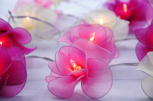 culturenlifestyle - Delicate Flower String LightsThailand-based...