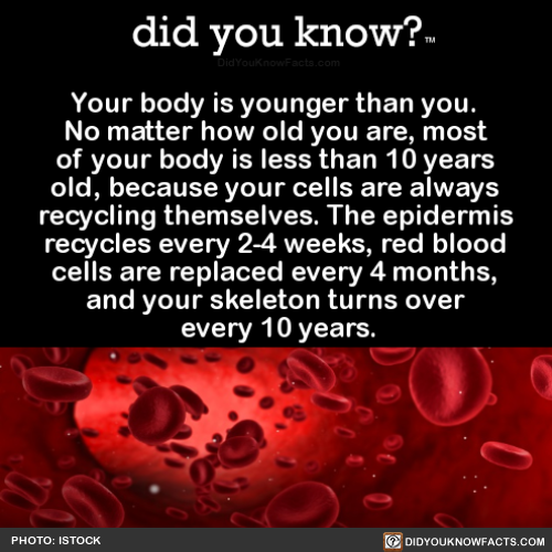 your-body-is-younger-than-you-no-matter-how-old