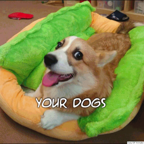 animals-lovers - Hot Dog Sofa! 