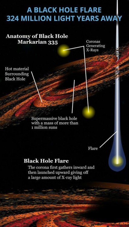 creativespacetime - Fever of Black Holes