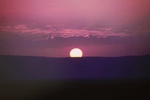 khaleeji-swagg - Im craving the southern sun, pink sunsets and...