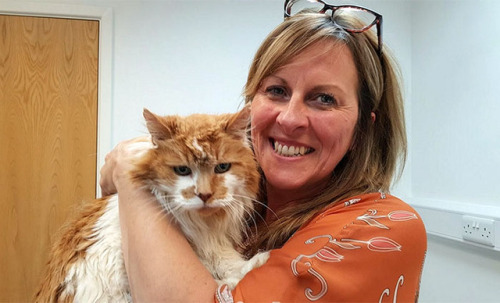 catsbeaversandducks - Meet Rubble, a cat from Exeter, England,...