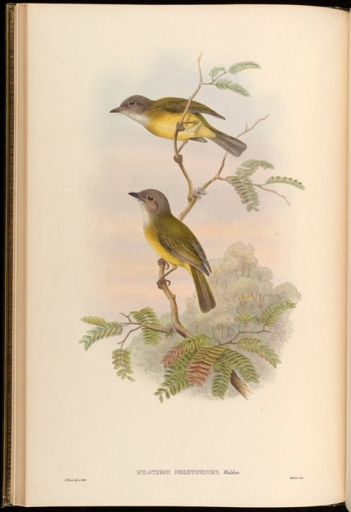 wapiti3 - Birds of AsiaBy Gould, John, 1804-1881  Sharpe,...