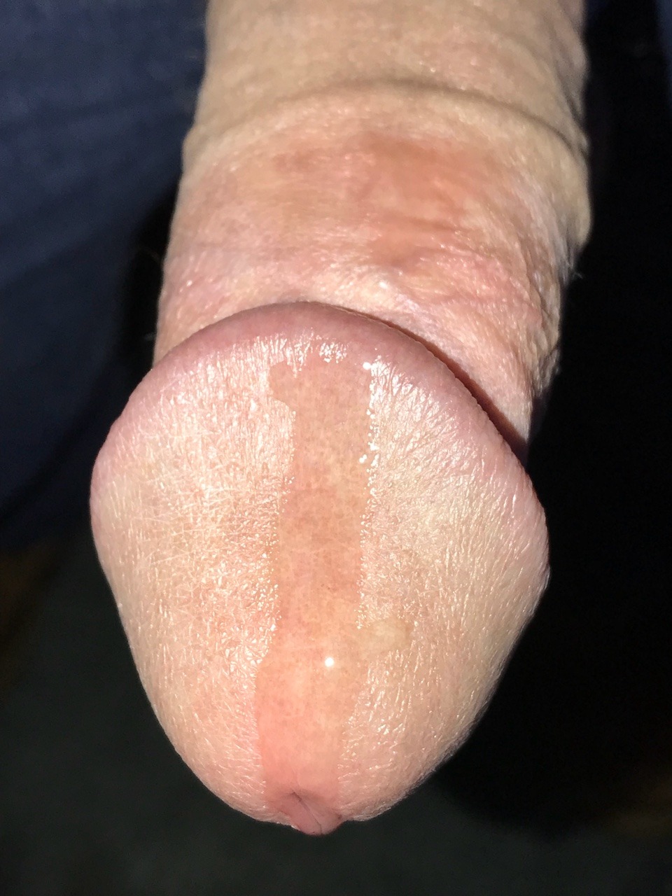 close up of cocks cumming