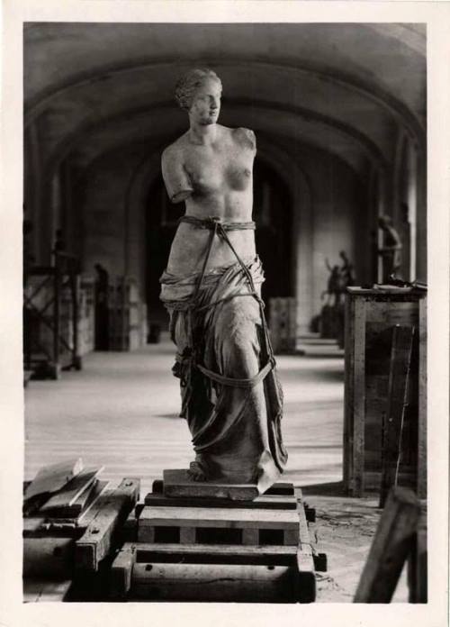 templeofapelles:evacuation of the Louvre during WWII.  Venus...
