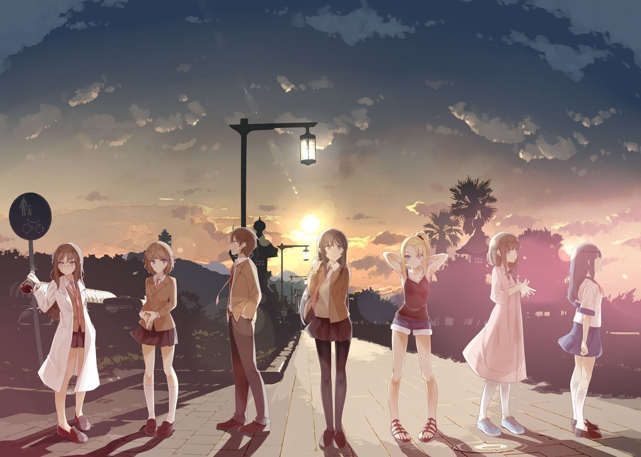 The character visual to the Ã¢ÂÂSeishun Buta Yarou wa Bunny Girl Senpai no Yume wo MinaiÃ¢ÂÂ TV anime has been updated to add Shoko Makinohara (CV: Inori Minase). Her character PV is also available. Series premiere October.