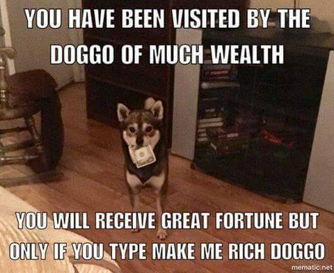 kingof-memes - MAKE ME RICH DOGGOMake me rich doggo!!!!!