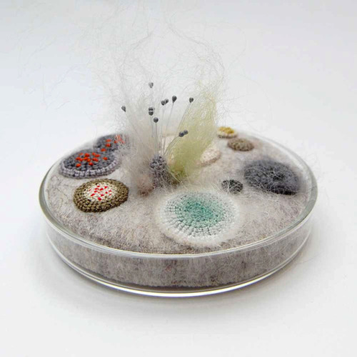 rgfellows - itscolossal - Crocheted and Embroidered Bacteria...