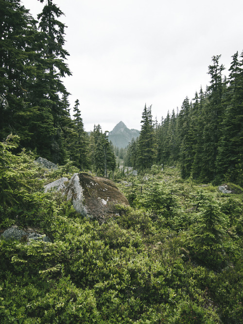 90377:Meadow and Mountain by Graham Spencer // Mines of the...