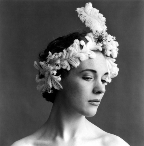 noiredesire:Julie Andrews photographed by Cecil Beaton