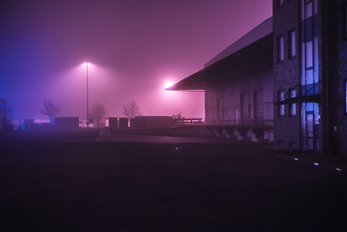 darksilenceinsuburbia - Mark Broyer - What the Fog? - One Night...