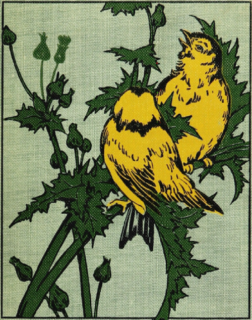 nemfrog:
â€œBirds that every child should know. 1907. Book cover detail.
â€