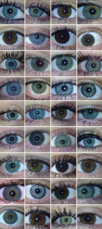 eye colors on Tumblr