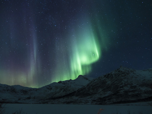 breathtakingdestinations:Tromso - Norway (by B Lucava) 