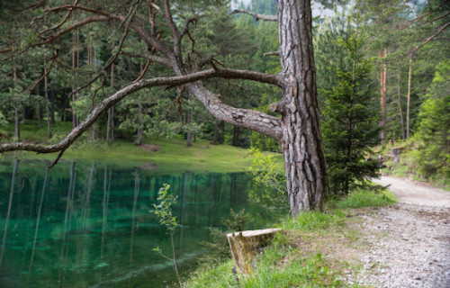 helenofdestroy - Grüner See (Green Lake) is a lake in Styria,...