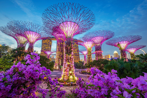 inkxlenses - Supertrees at Singapore Gardens by the Bay | ©...