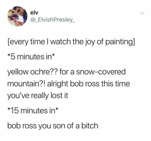 30-minute-memes - Bob you’ve done it again