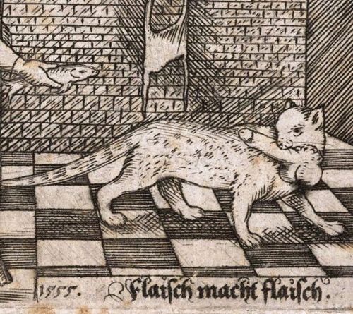 dynamoe - 1555 - a cat stole my dick.
