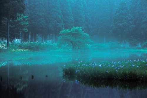 quiet-nymph:Photography by h.manabe