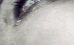 Gifs [Part 2 out of 3] Tumblr_owycyr2kvX1stkt78o2_250
