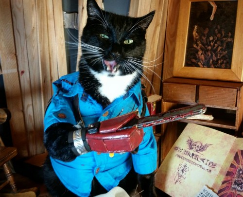 archiemcphee - cat-cosplay - cat-cosplay - “Hail to the Cat,...
