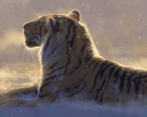 tamberella:Big cat portraits of mine from the last couple of...